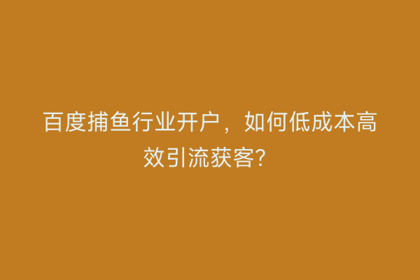 百度捕鱼行业开户，如何低成本高效引流获客？