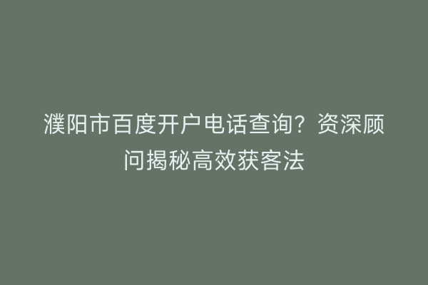 濮阳市百度开户电话查询?资深顾问揭秘高效获客法