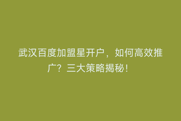 武汉百度加盟星开户，如何高效推广？三大策略揭秘！
