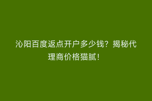 沁阳百度返点开户多少钱？揭秘代理商价格猫腻！