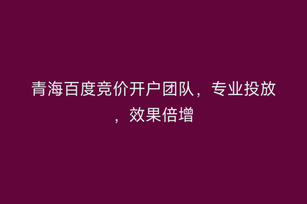 青海百度竞价开户团队，专业投放，效果倍增