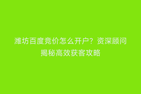 潍坊百度竞价怎么开户？资深顾问揭秘高效获客攻略