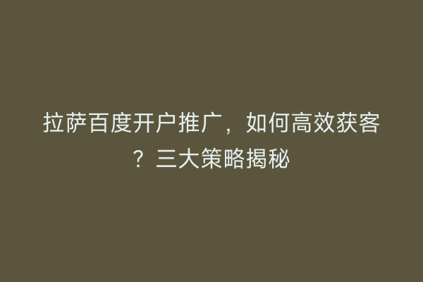 拉萨百度开户推广，如何高效获客？三大策略揭秘