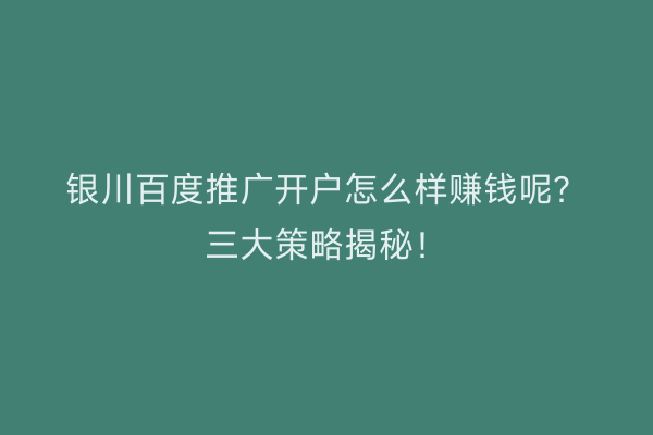 银川百度推广开户怎么样赚钱呢？三大策略揭秘！