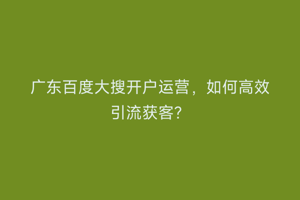 广东百度大搜开户运营，如何高效引流获客？