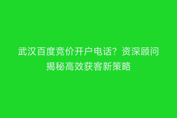 武汉百度竞价开户电话？资深顾问揭秘高效获客新策略