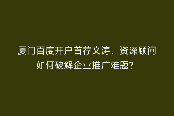 厦门百度开户首荐文涛，资深顾问如何破解企业推广难题？