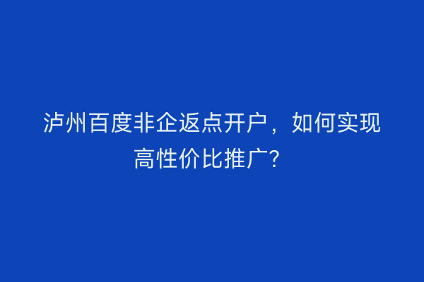 泸州百度非企返点开户，如何实现高性价比推广？