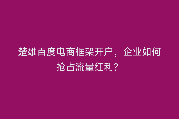 楚雄百度电商框架开户，企业如何抢占流量红利？
