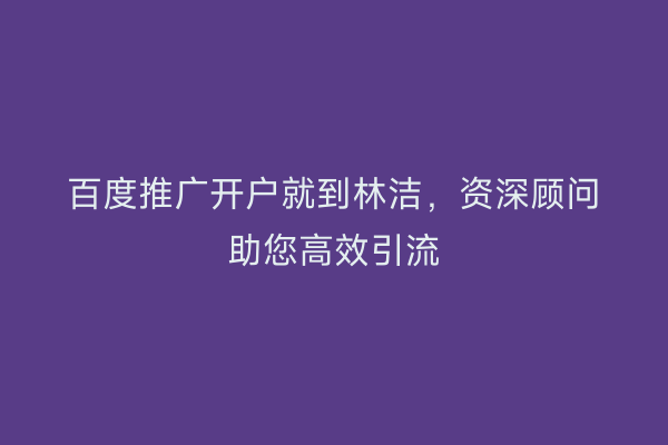 百度推广开户就到林洁，资深顾问助您高效引流