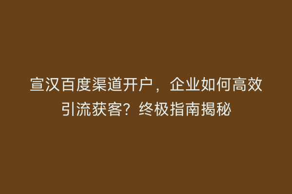 宣汉百度渠道开户，企业如何高效引流获客？终极指南揭秘