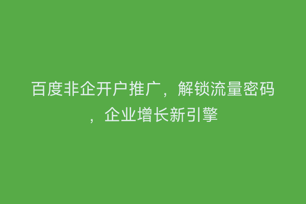 百度非企开户推广，解锁流量密码，企业增长新引擎
