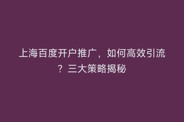 上海百度开户推广，如何高效引流？三大策略揭秘