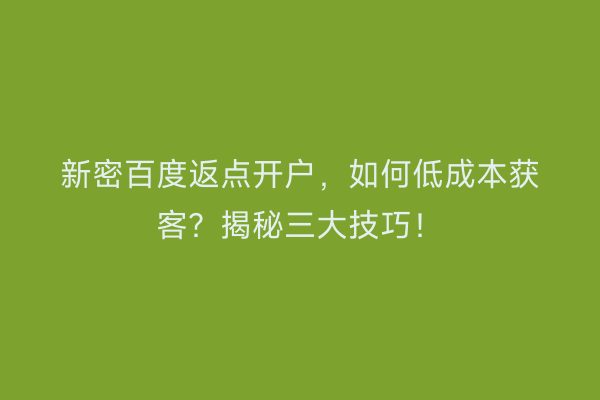 新密百度返点开户，如何低成本获客？揭秘三大技巧！