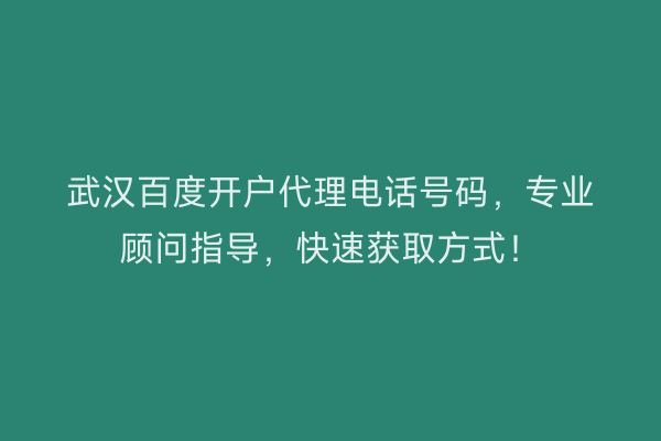 武汉百度开户代理电话号码，专业顾问指导，快速获取方式！