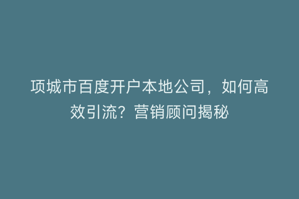 项城市百度开户本地公司，如何高效引流？营销顾问揭秘
