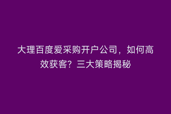 大理百度爱采购开户公司，如何高效获客？三大策略揭秘