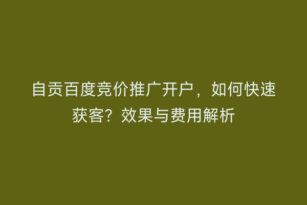 自贡百度竞价推广开户，如何快速获客？效果与费用解析