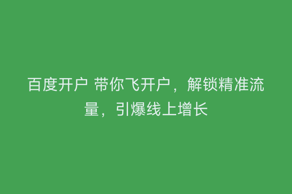 百度开户 带你飞开户，解锁精准流量，引爆线上增长