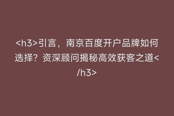 <h3>引言，南京百度开户品牌如何选择？资深顾问揭秘高效获客之道</h3>
