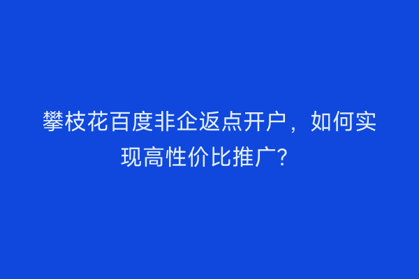 攀枝花百度非企返点开户，如何实现高性价比推广？