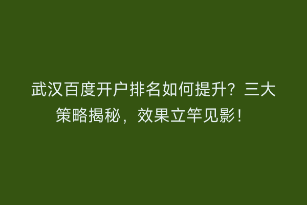 武汉百度开户排名如何提升？三大策略揭秘，效果立竿见影！