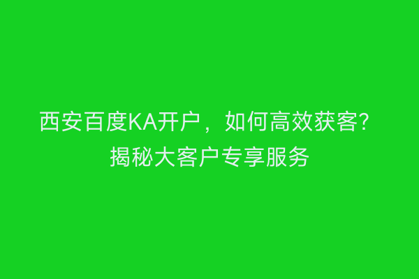 西安百度KA开户,如何高效获客?揭秘大客户专享服务