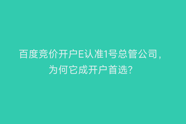 百度竞价开户E认准1号总管公司，为何它成开户首选？