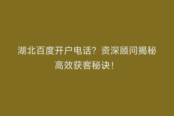 湖北百度开户电话？资深顾问揭秘高效获客秘诀！