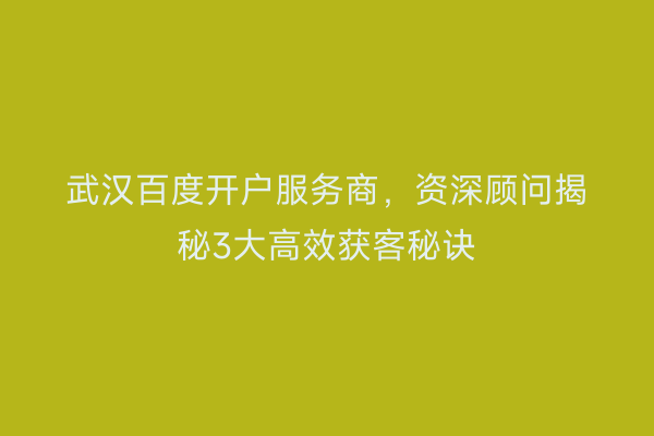 武汉百度开户服务商，资深顾问揭秘3大高效获客秘诀
