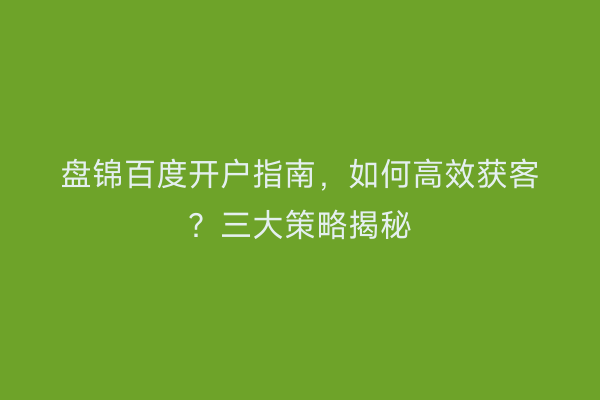 盘锦百度开户指南，如何高效获客？三大策略揭秘