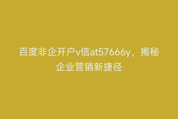 百度非企开户v信at57666y，揭秘企业营销新捷径