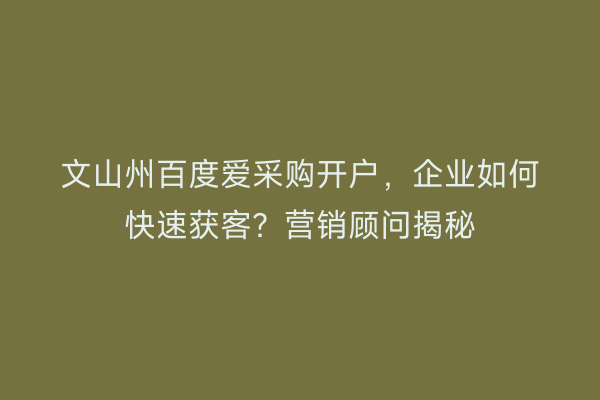 文山州百度爱采购开户,企业如何快速获客?营销顾问揭秘