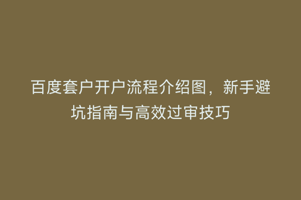 百度套户开户流程介绍图,新手避坑指南与高效过审技巧