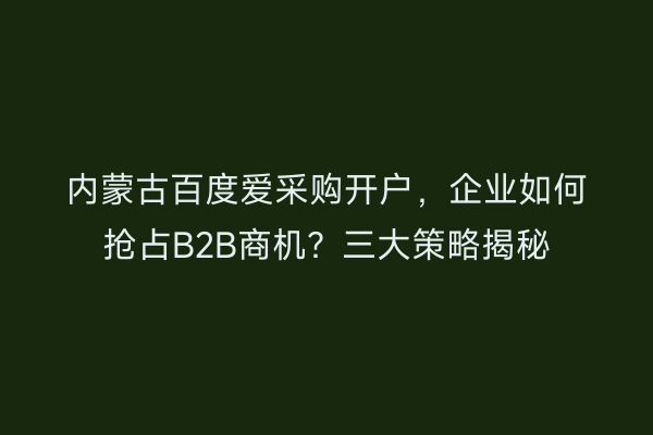 内蒙古百度爱采购开户，企业如何抢占B2B商机？三大策略揭秘