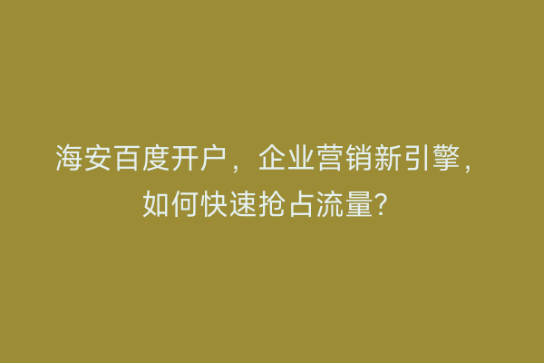 海安百度开户，企业营销新引擎，如何快速抢占流量？