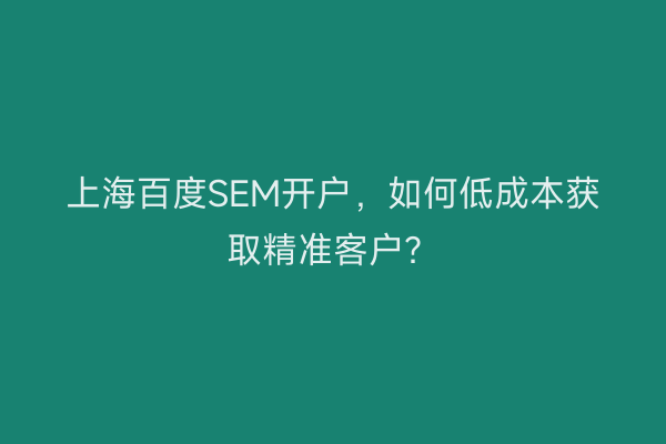 上海百度SEM开户，如何低成本获取精准客户？