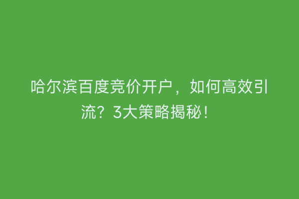 哈尔滨百度竞价开户,如何高效引流?3大策略揭秘!