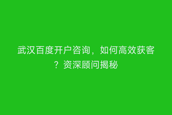 武汉百度开户咨询,如何高效获客?资深顾问揭秘
