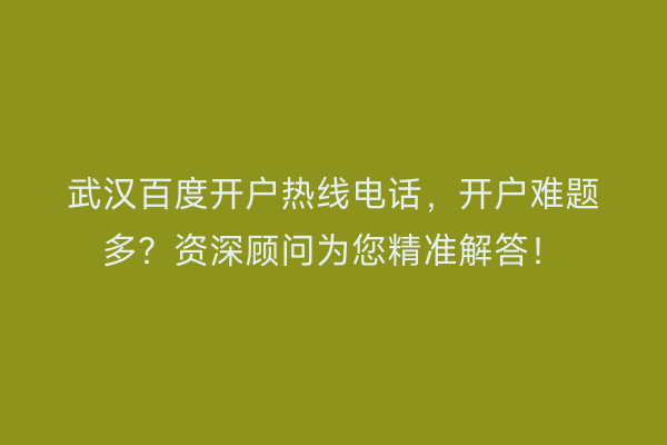 武汉百度开户热线电话，开户难题多？资深顾问为您精准解答！