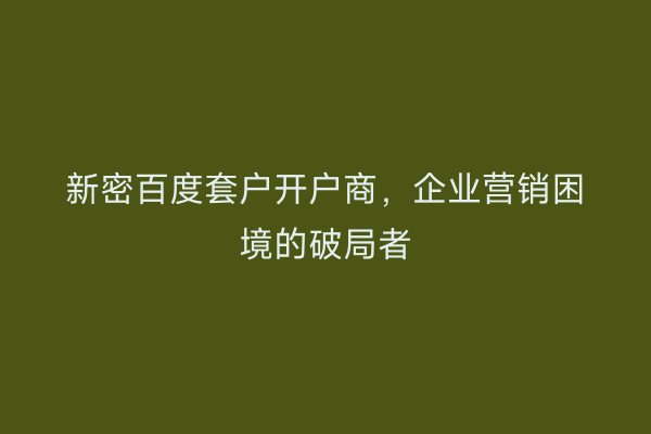 新密百度套户开户商，企业营销困境的破局者