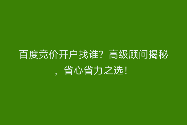 百度竞价开户找谁?高级顾问揭秘,省心省力之选!