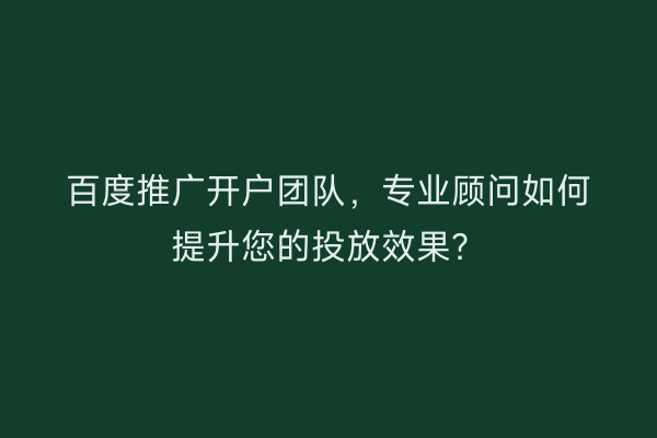 百度推广开户团队,专业顾问如何提升您的投放效果?