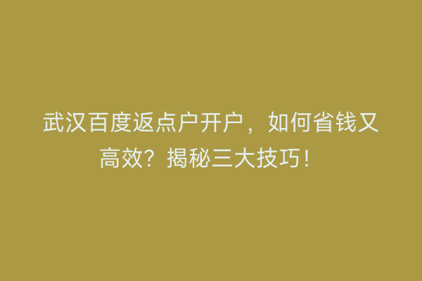 武汉百度返点户开户，如何省钱又高效？揭秘三大技巧！