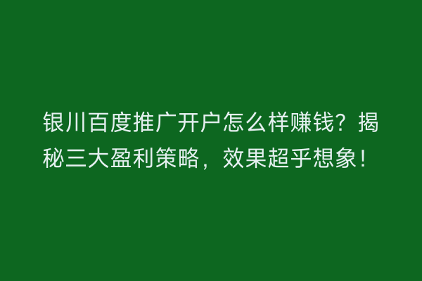 银川百度推广开户怎么样赚钱？揭秘三大盈利策略，效果超乎想象！