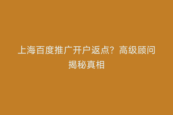 上海百度推广开户返点？高级顾问揭秘真相