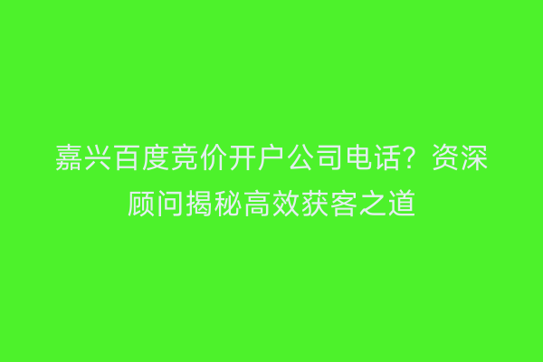 嘉兴百度竞价开户公司电话？资深顾问揭秘高效获客之道