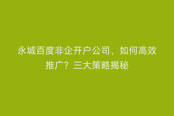 永城百度非企开户公司，如何高效推广？三大策略揭秘