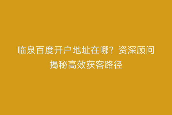 临泉百度开户地址在哪？资深顾问揭秘高效获客路径