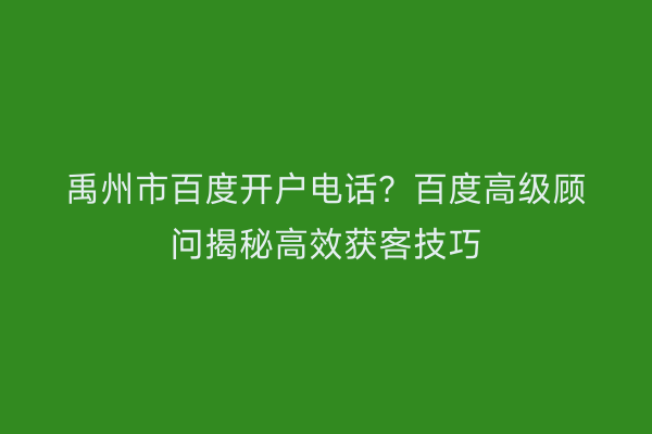 禹州市百度开户电话？百度高级顾问揭秘高效获客技巧